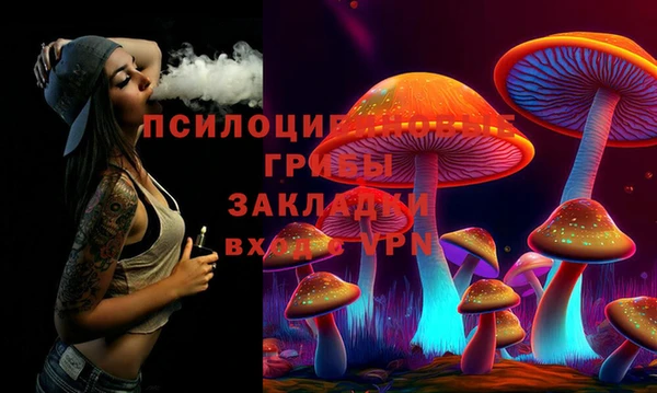 mix Надым