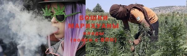 шишки Бежецк